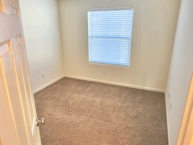 209 Blossom Rock Ln — Photo 14