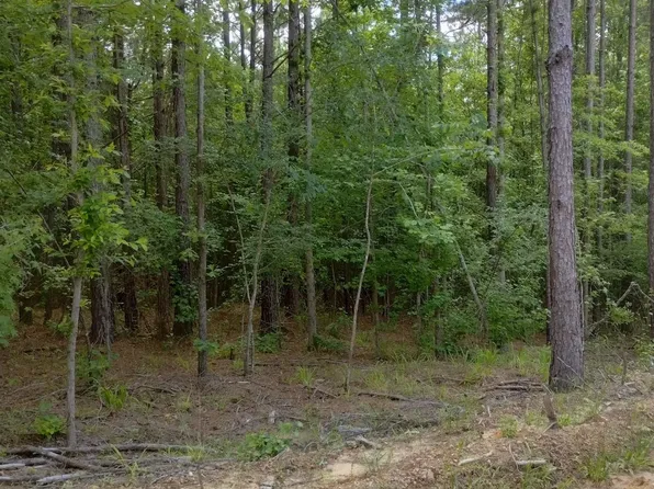 (undisclosed Address), Glenwood, AR 71943