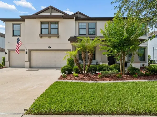 10623 Mistflower Ln, Tampa, FL 33647