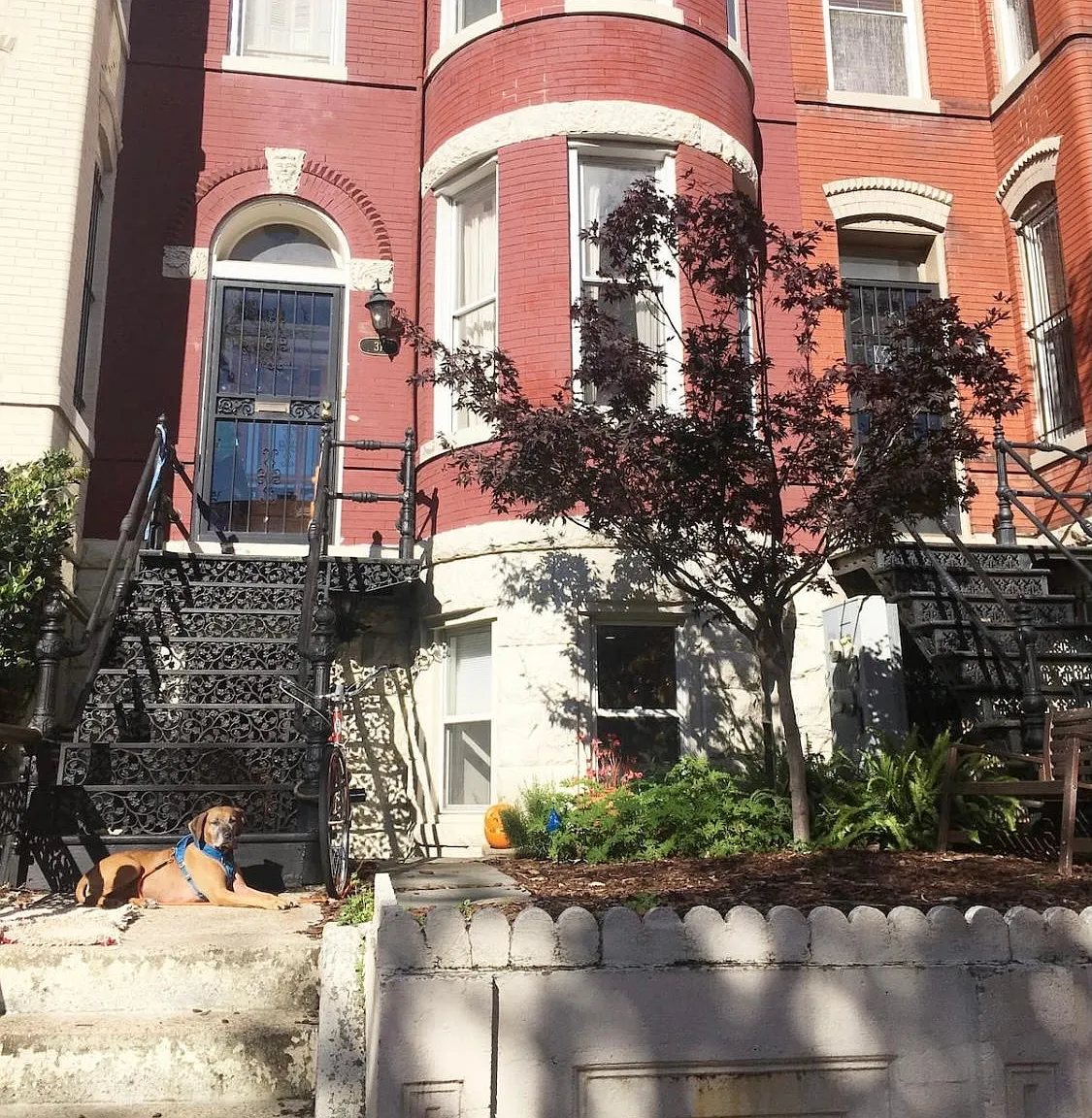 37 R St NW — Photo 3