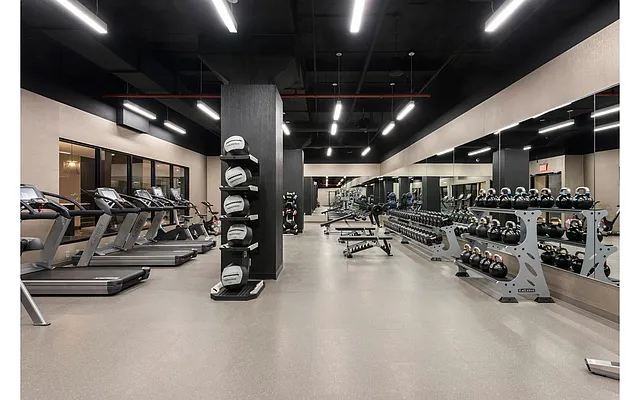 Rented by Douglas Elliman | media 20