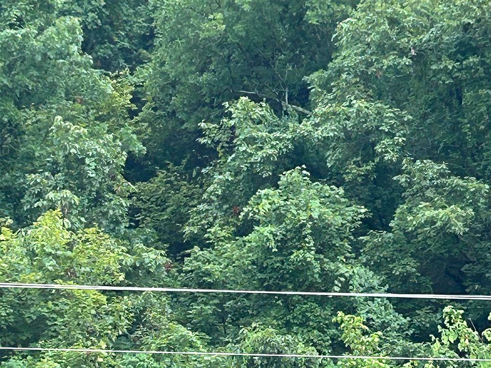 2nd image of 0 Buckaroo Ln