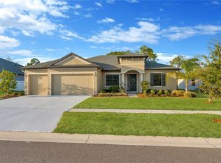 3908 Gaviota Dr, Ruskin, FL 33573