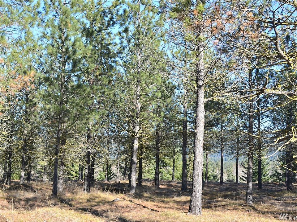 2nd image of 49 Southern Star Ln