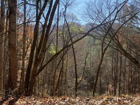 2446 Sunset Rd, Sevierville, TN 37862