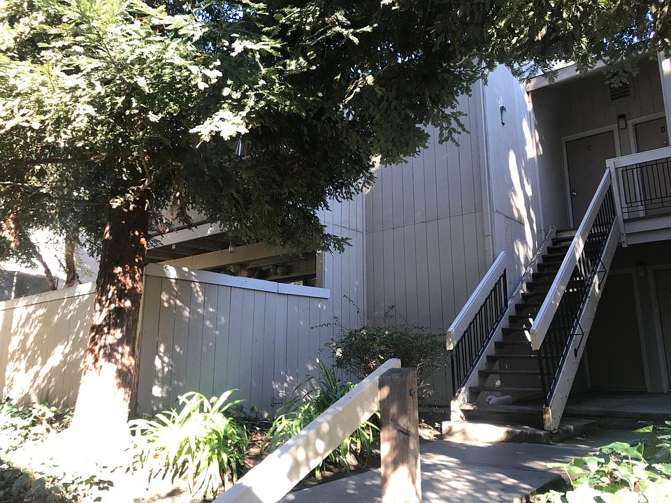Front entrance with redwood tree