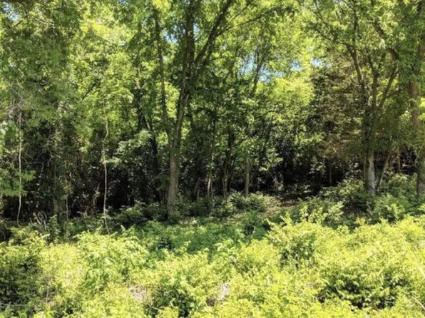 251 Tulip Hill Dr NE, Nashville, TN 37210