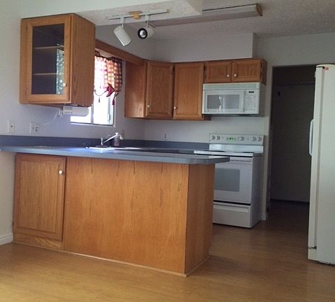 3rd image of 431 Morgan Dr