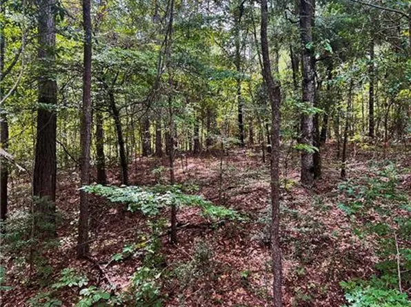 1 County Road 24, Seale, AL 36875