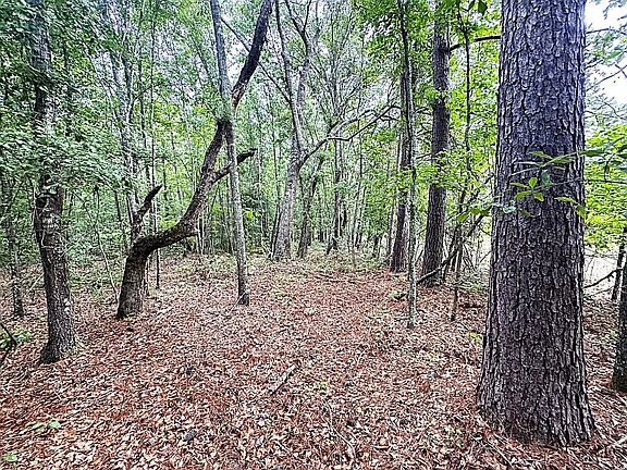 5th image of Mount Zion Rd