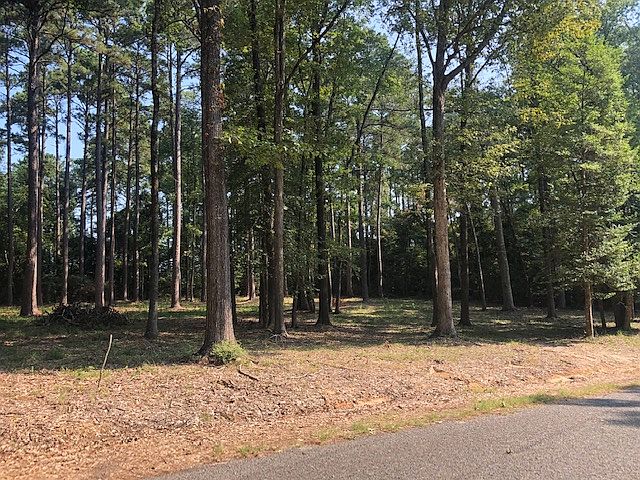 Left view of cleared lot