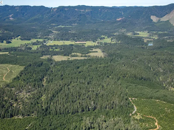 0 Dancer Rd, Camas Valley, OR 97416
