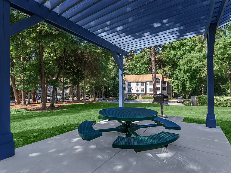 Barbecue Picnic Area with Shaded Pergola and Outdoor Seating
