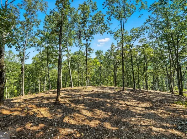 0 Debord Dr, Waleska, GA 30183