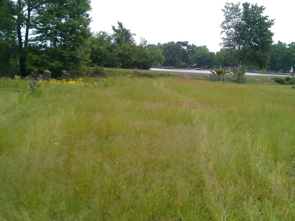 2nd image of 1703 Pimlico Blvd