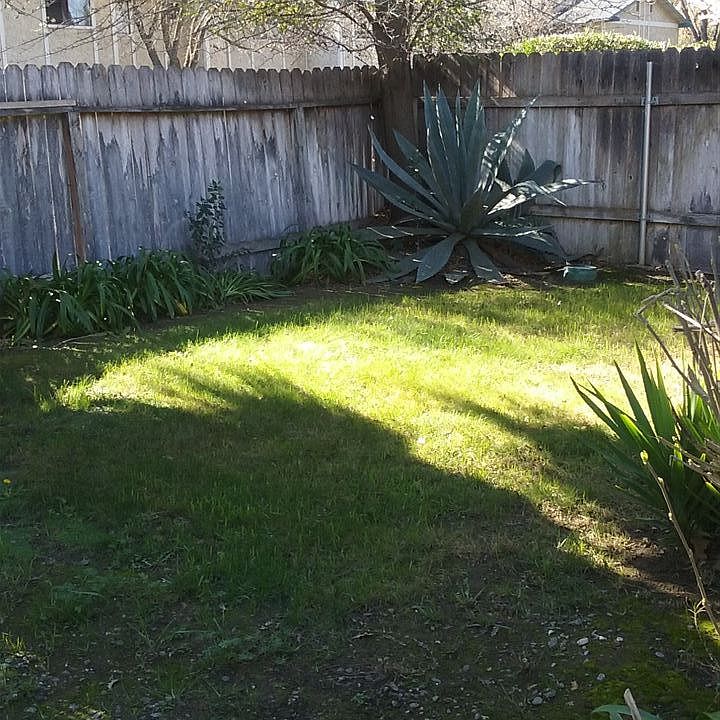 Yard!