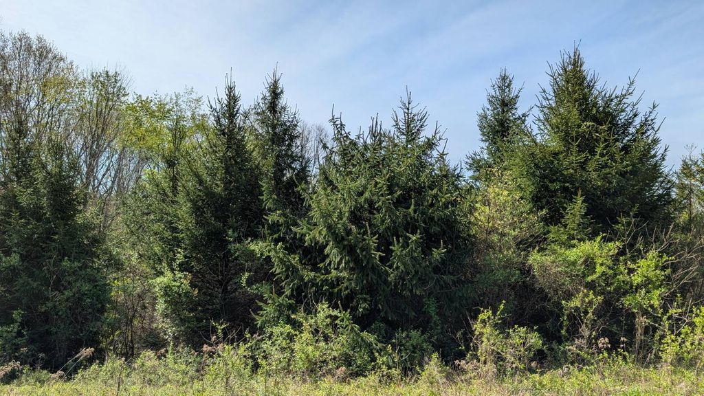 Real estate listing image