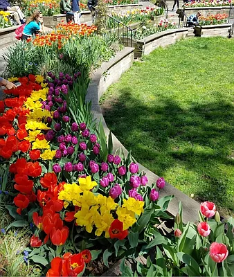 Rented by Brown Harris Stevens | media 7