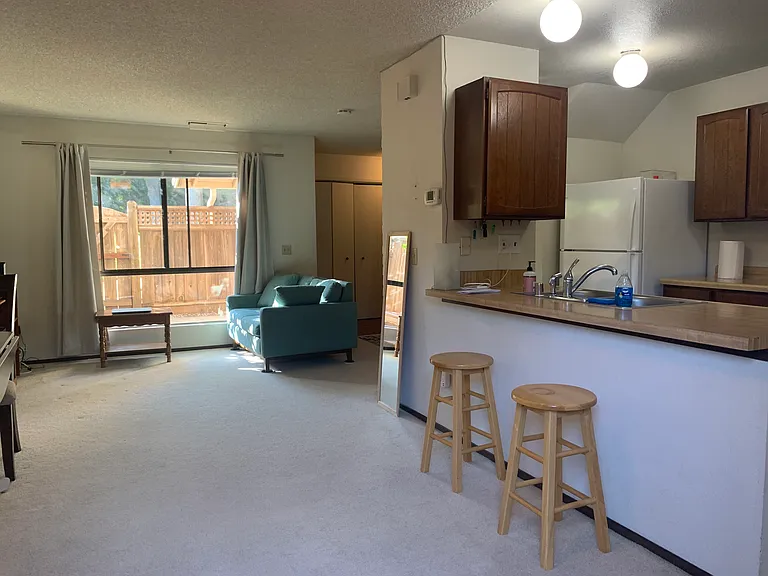 161 Peach Ter — Photo 4