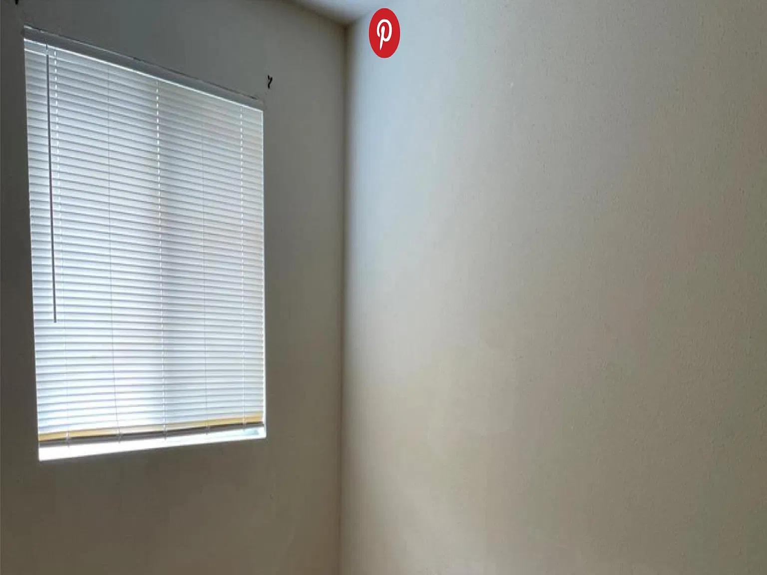 2 bed, 900 sqft, $1,200 — Photo 4