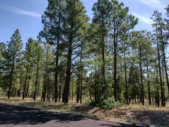 2857 Sparrow Dr, Happy Jack, AZ 86024