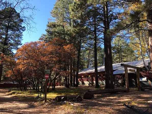 7 Private Drive 1759 #1, Chama, NM 87520