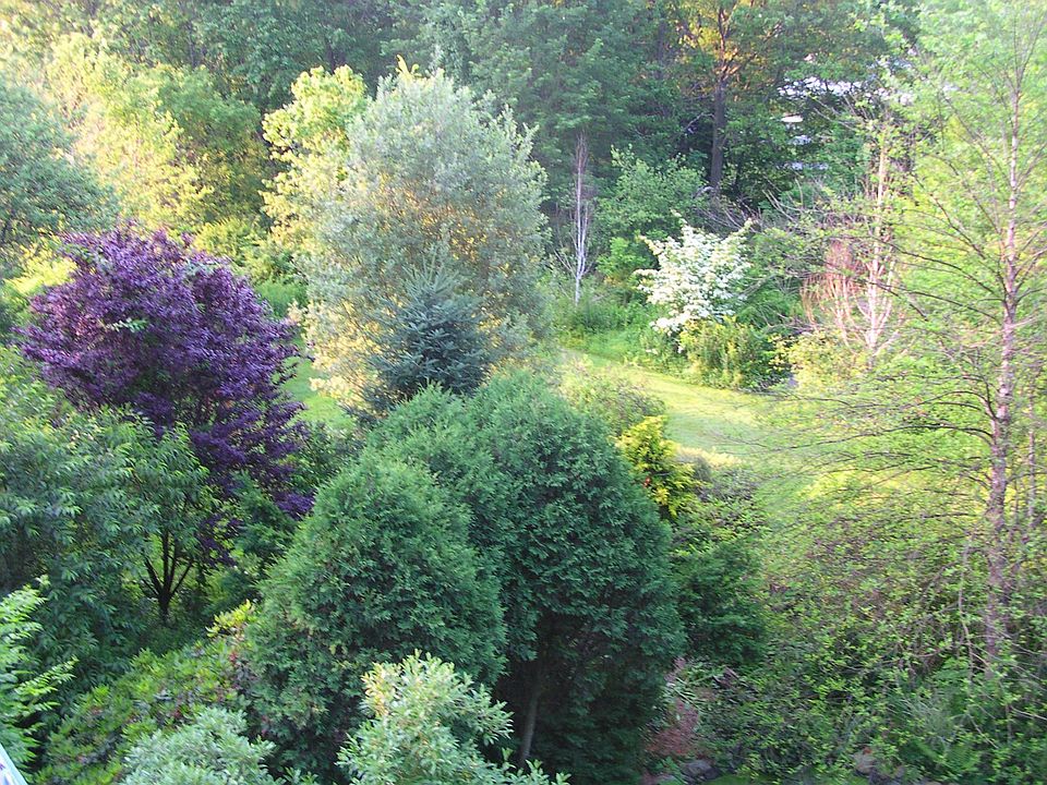 yard