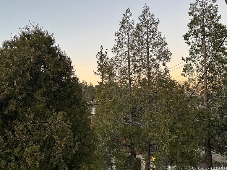 24175 Horst Dr — Photo 15