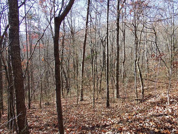 4th image of 45 Smallwood Trl