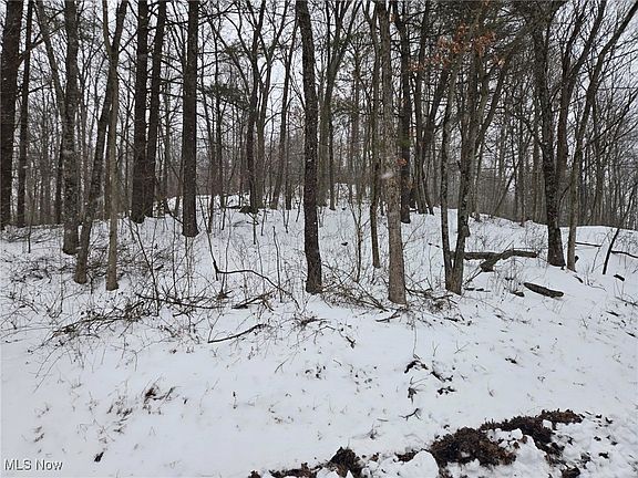 2nd image of Scott Rd