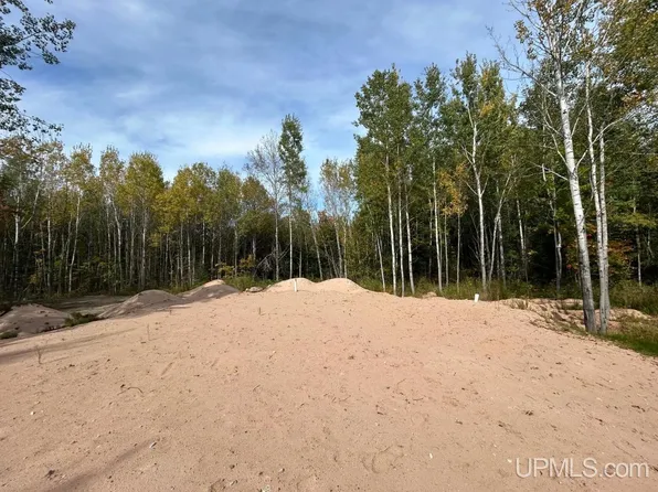 Dalton Rd, Skandia, MI 49885