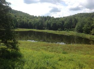 1 Riverside Dr, Roscoe, NY 12776