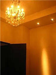 Rented by Synergy NYC