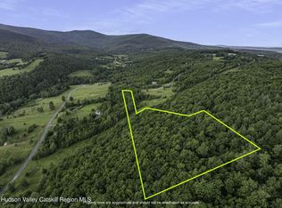 L202 Overlook Dr, Prattsville, NY 12468