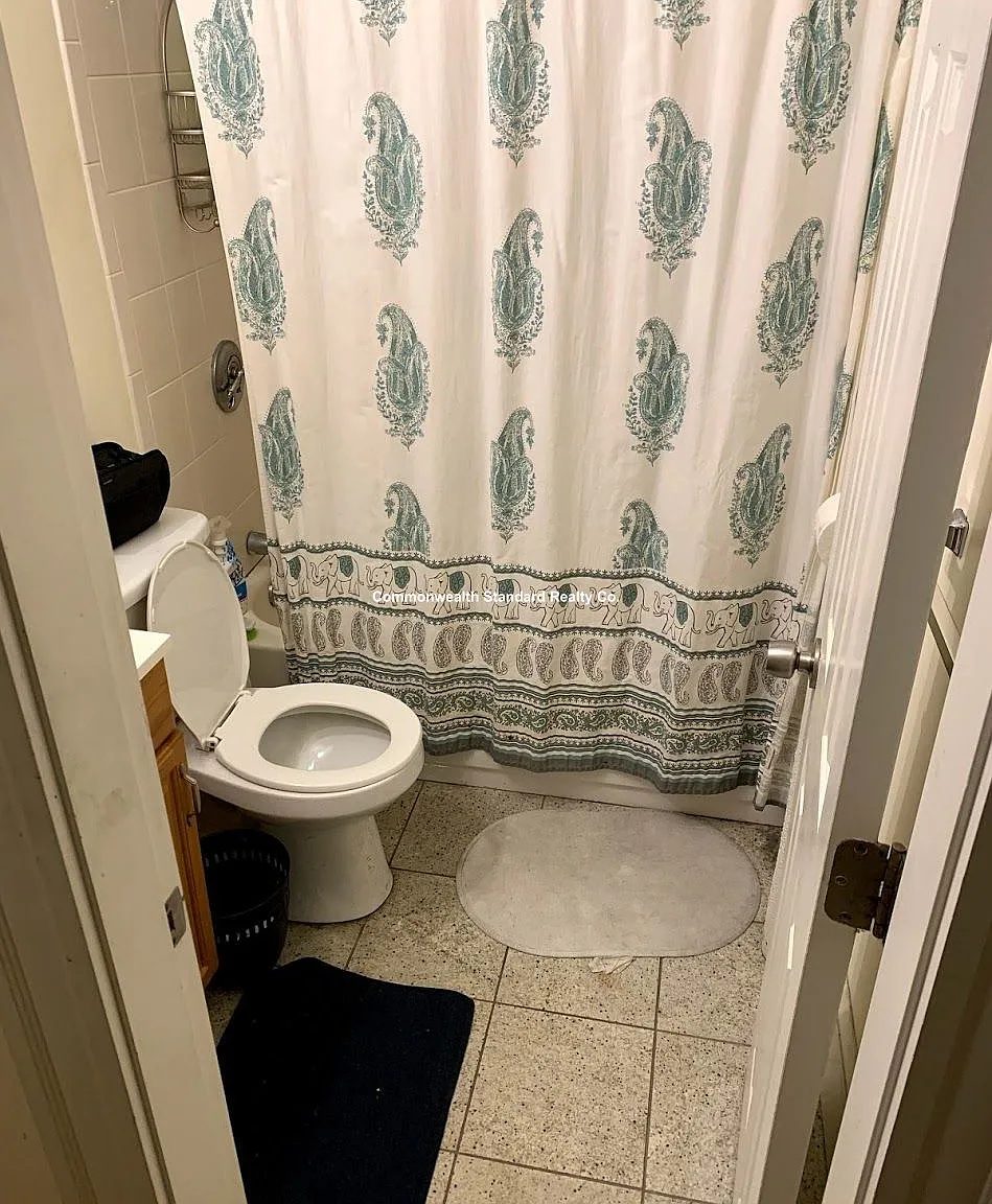 3 bed, 1000 sqft, $4,250 — Photo 4