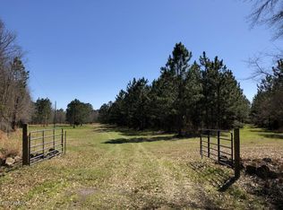 1738 Newton Corner Rd, Estill, SC 29918