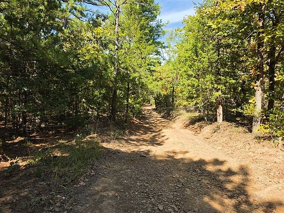 4th image of 100 Bear Creek Rd