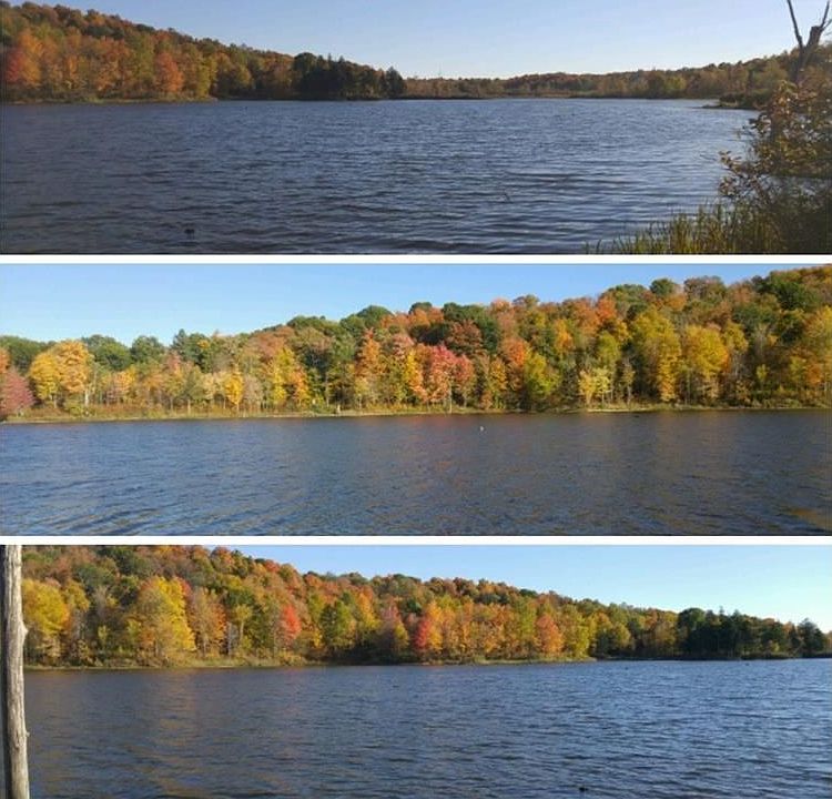 1st image of 2008 County Route 11