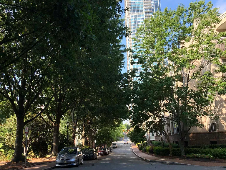 Pine Street ("The Vue" is in the background)