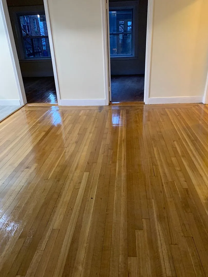 No Fee! Gorgeous Comm Ave Apt by T! Modern Appliances. Cat & Small Dog OK — Photo 3