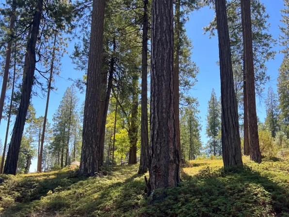 192 Vireo Ct, Avery, CA 95224