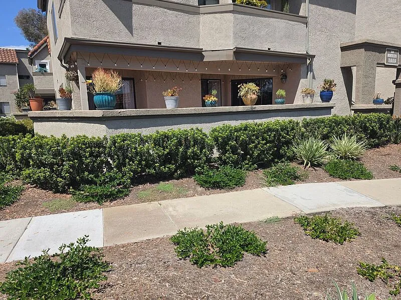 3 bed, 2.0 bath, 1100 sqft, $3,800 — Photo 2