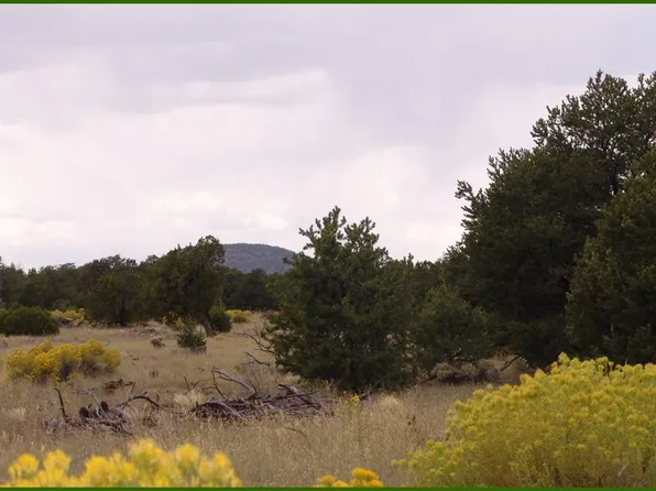 4 Pinon Dr, Quemado, NM 87829