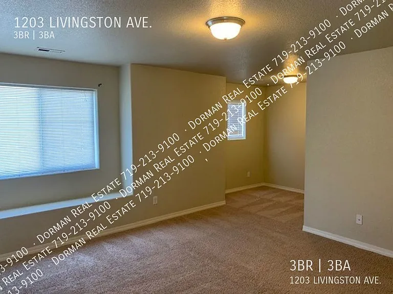 1203 Livingston Ave — Photo 4