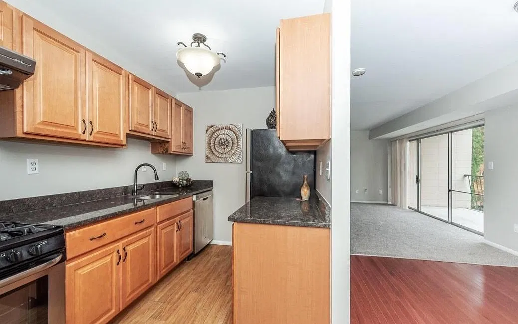 5546 Karen Elaine Dr — Photo 3