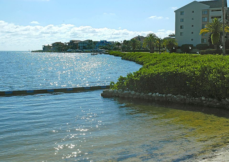 2nd image of 4620 Bay Blvd APT 1135
