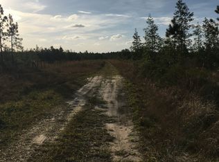 1560 Chesser Hammock Rd, Pierson, FL 32180