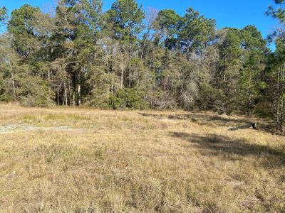 287 Mount Olive Church Rd, Tifton, GA, 31794