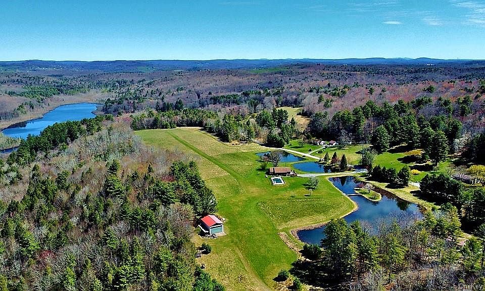 239 Mitchell Pond Road E, Cochecton, NY 12726 MLS H6303597 Zillow