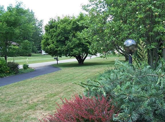 Front Yard